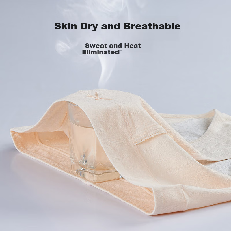 芬腾 内裤女2条装10A抑菌防侧漏姨妈月经生理裤独立包装