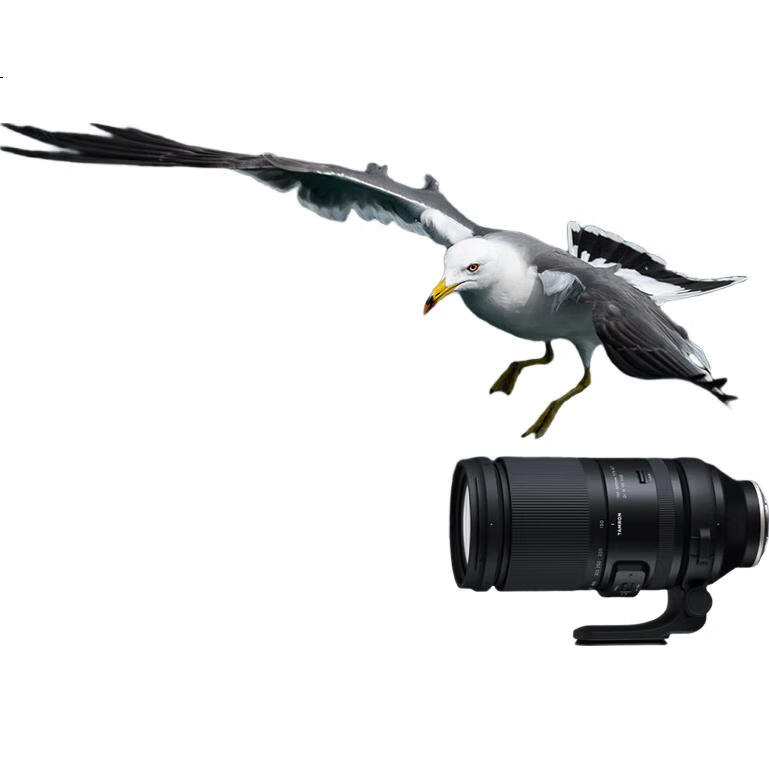 White Image 1