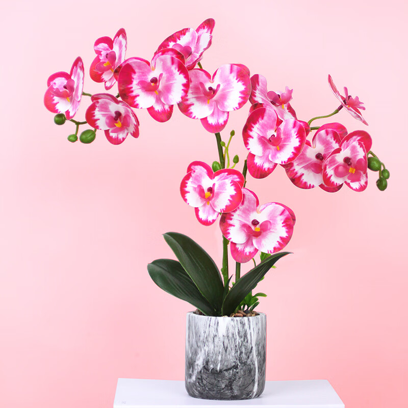Qiju Yaji Artificial Butterfly Orchid Potted Plant High-Quality Decorative Ornament 3 Branches 13 Flowers Rose Red with Pot 20190-1