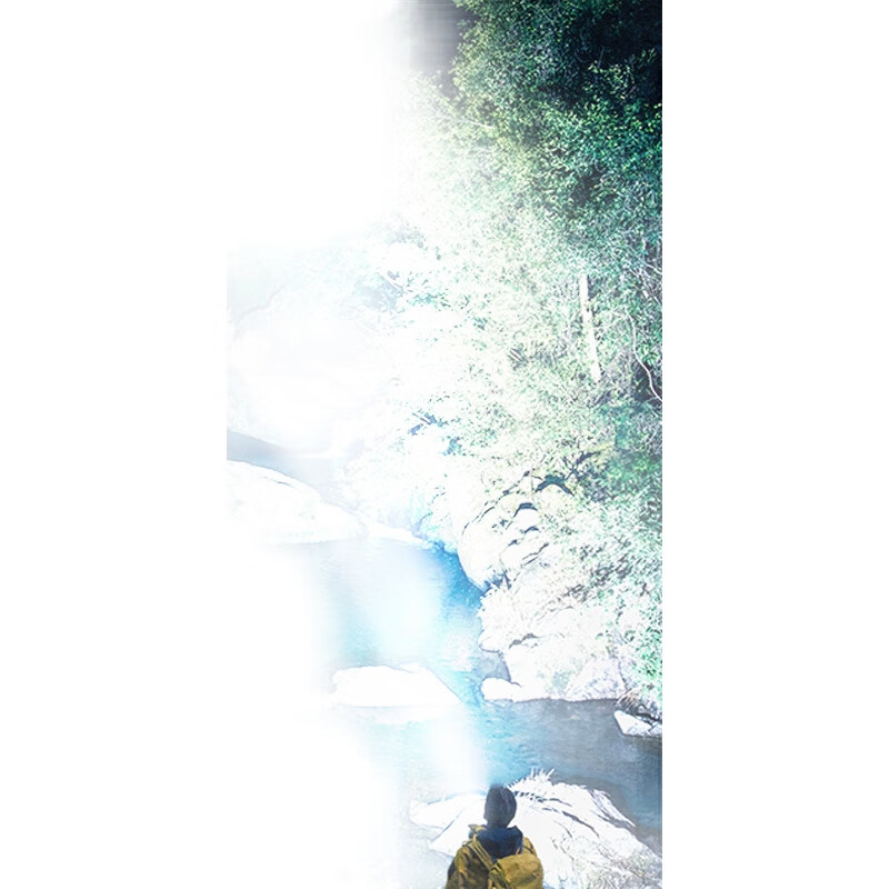 White Image 1