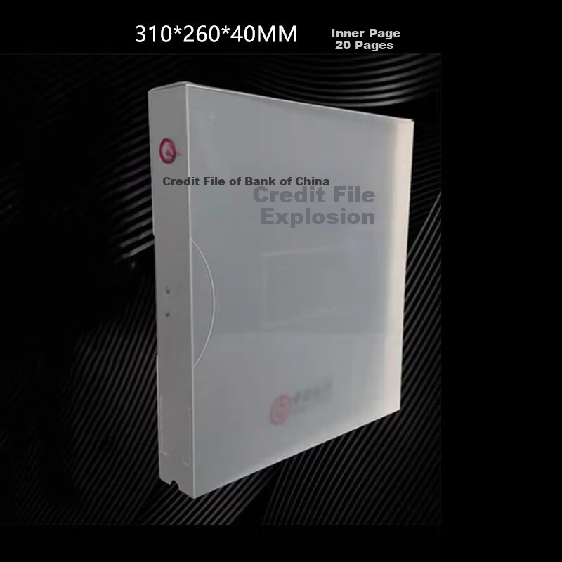 RYZH Credit File Box, PP Plastic File Box, Spine Thickness up to 40mm, 20 Pages inside, 310mm*260mm*40mm, 50 Pieces/unit 4