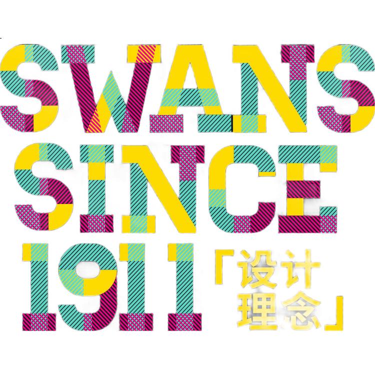 Мужские плавки-шорты Suanshi SWANS, профессиональные для тренировок, быстросохнущие, устойчивые к хлору, черные с надписью, размер 2XL