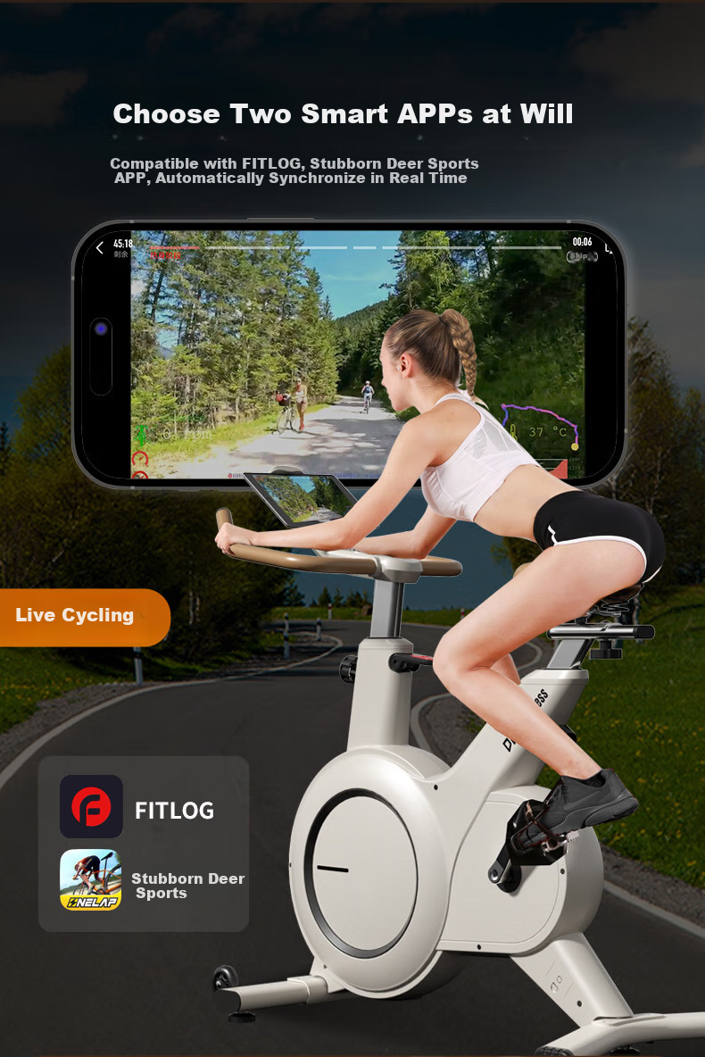 DDS Exercise Bike, Self-Powered Fitness Equipment, Home Indoor Bicycle, Intelligent Resistance Magnetic Control Bike DDS9330K 4