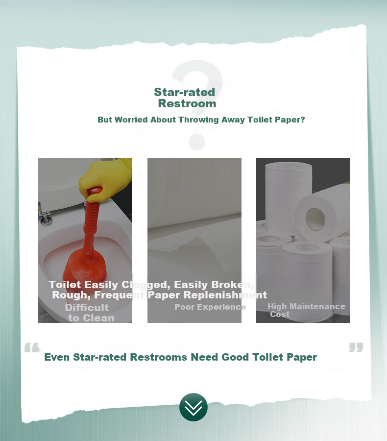 Zhiyue Large Roll Toilet Paper, 4-Ply, 600g*12 Rolls, Bamboo Pulp, Commercial Use, Large Core Roll Paper, Tissue Paper, Whole Box 2