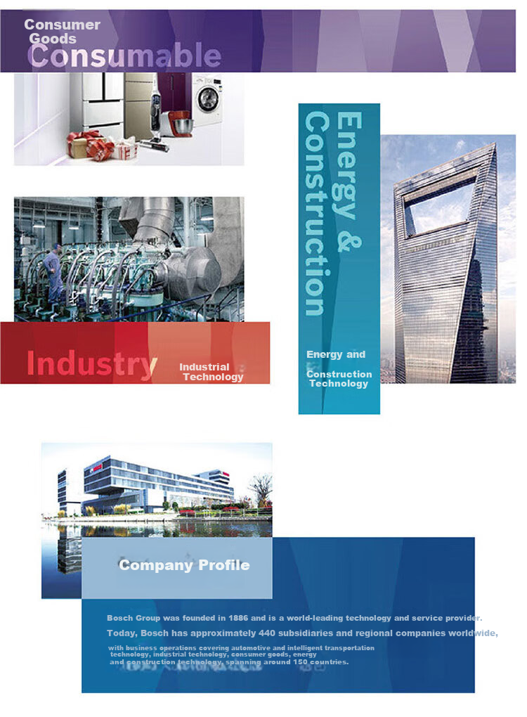 BOSCH Rear Window Wiper Blade, 12 Inches (For BYD M6/Land Cruiser/Yizhi Prius Kuwei) 9