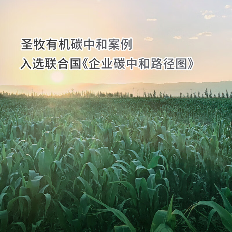 圣牧有机纯牛奶 品醇200ml*12盒 口感清爽 纯净有机 送礼礼盒