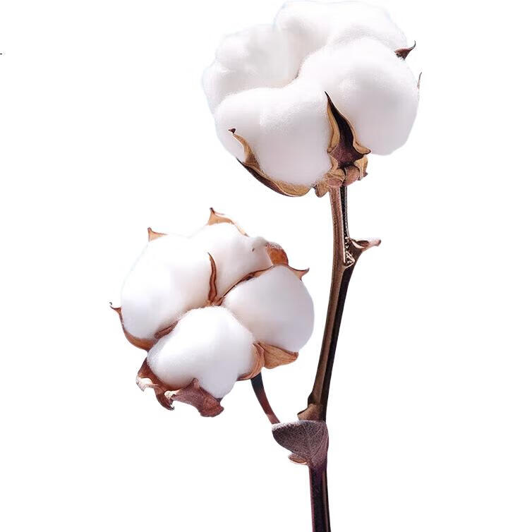 Мужские боксеры PurCotton, тонкие, для дома, шорты большого размера, из марли, сине-голубой клетчатый узор, размер 180