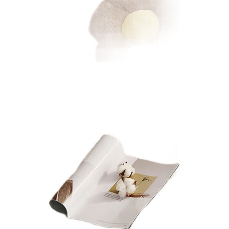 White Image 2