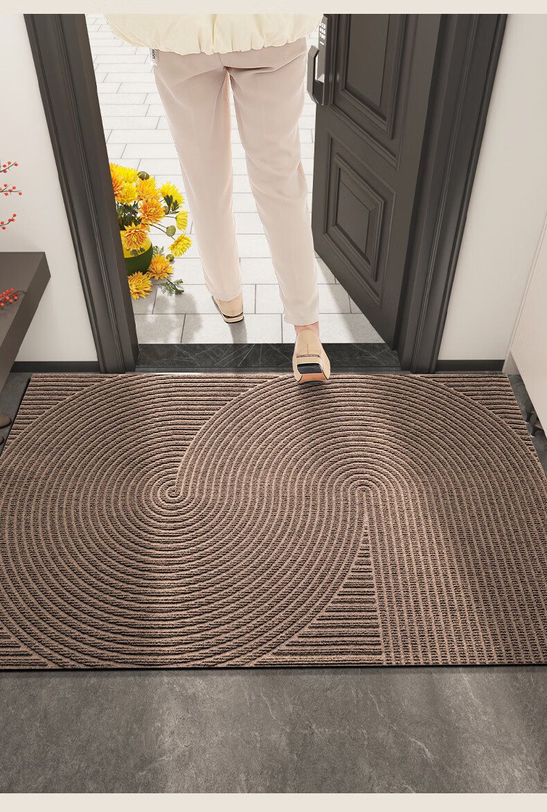 DeXi Entrance Mat, Doorway Mat, Foot Mat, 2025 New Style Doormat, Foyer Carpet, Entrance Floor Mat, 45x75cm 2