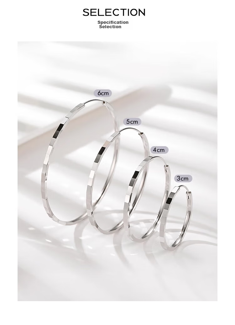 Dijing Large Hoop Earrings for Women, 990 Sterling Silver Ear Hoops, Round Earrings, European And American Style, Exaggerated Luxury Jewelry 3