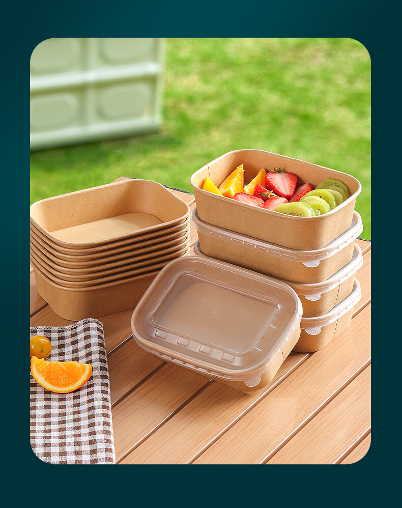 BJ Disposable Food Containers, Round Takeout Boxes, Thickened with Lids, Food Grade, Microwave Safe, 750ml*20 Sets 10