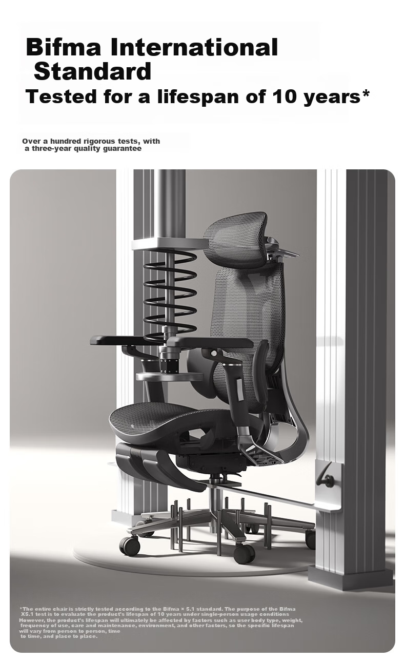 Hbada E3Pro Ergonomic Chair, Computer Chair, Office Chair, Biomechanical Seat, Intelligent Massage, Heating, Lumbar Support 7