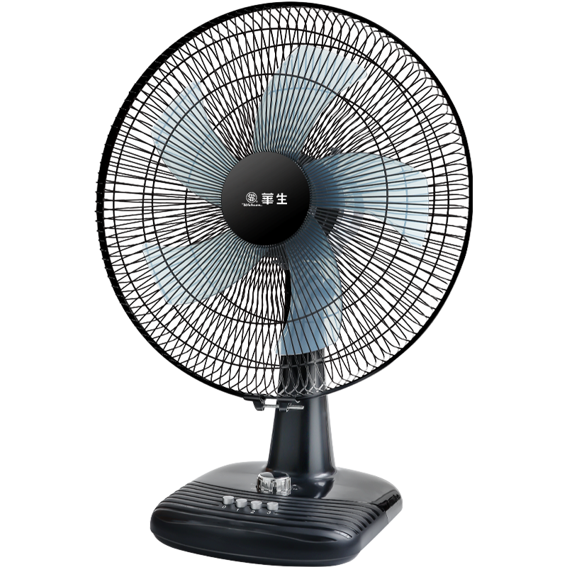 Wahson Electric Fan/Stand Fan/Low Noise Fan/16-Inch High Air Volume Home Office AC Fan with Fixed Frequency WS-A1603A