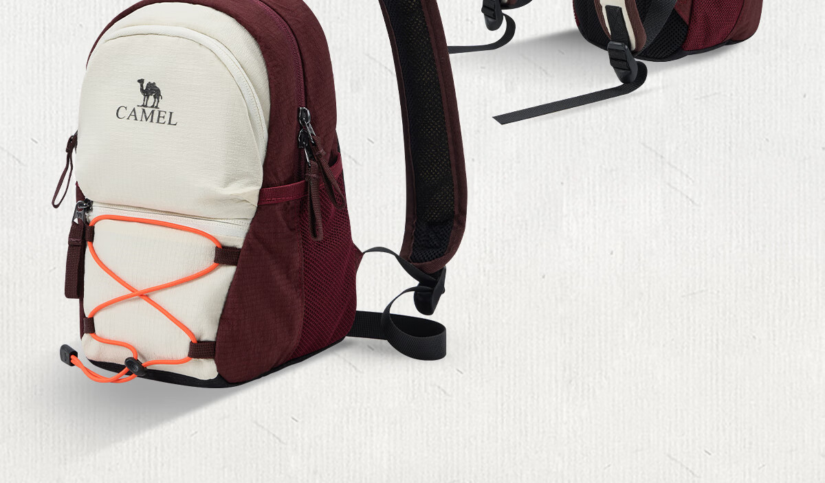 CAMEL Commuter Casual Backpack, Travel Lightweight Bag, Laptop Bag, Hiking Backpack 575B741036, Twilight Purple 5