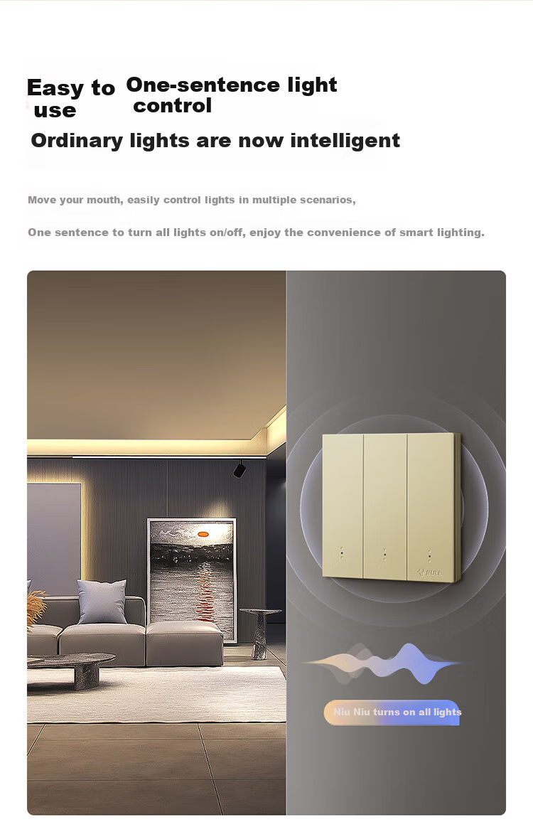 BULL Intelligent Switch, Voice/manual Control, No Network Required, Three-Position Remote Control Switch, Gold GTQ312 2