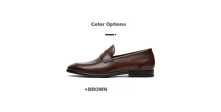 Goldlion Men's Shoes, Urban Fashion Wear-Resistant Slip-On Business Casual Shoes, Comfortable Loafers, 56321052140A, Brown, Size 38 11