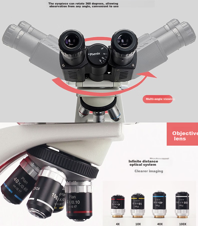 Phenix PH50-2A43L Biological Microscope, Binoculars, 1600x Magnification, Professional High Magnification, for Home And Laboratory Use, Bacterial Detectio 4