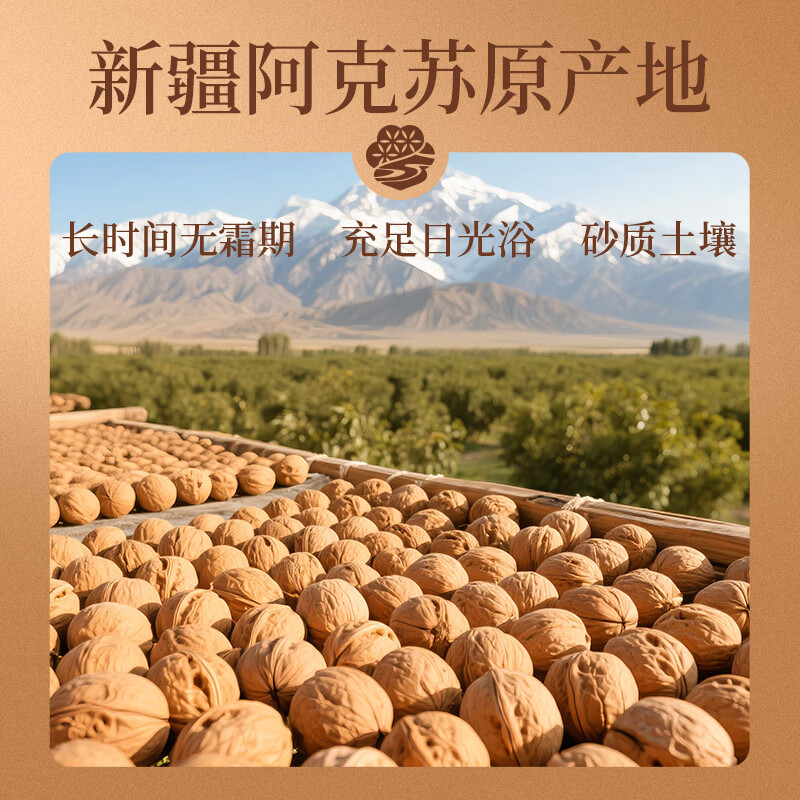 楼兰蜜语 薄皮大核桃500g/袋 新二核桃 每日坚果 新疆纸皮核桃仁 休闲零食