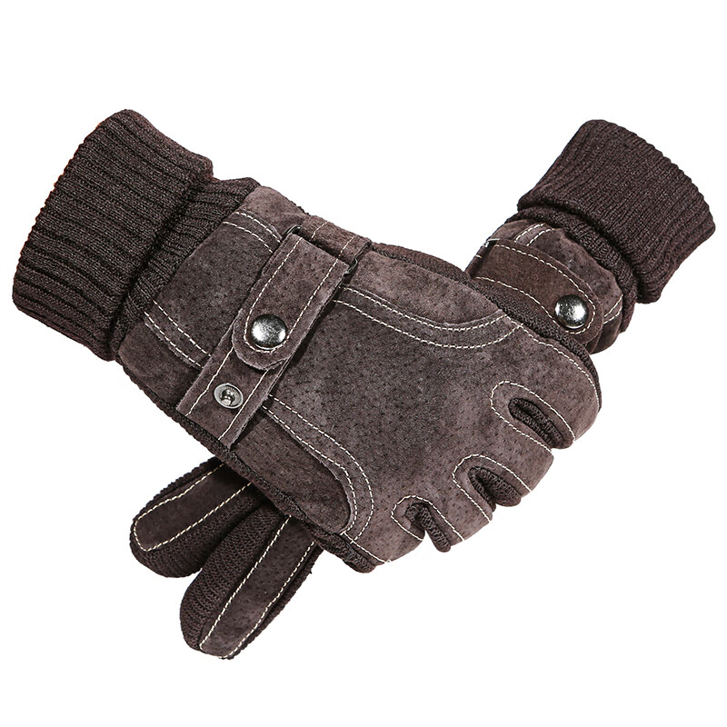 Jian Cai Genuine Leather Men's Gloves Autumn Winter Warm Windproof Fleece Thickened Cold-Resistant Outdoor Riding Electric Motorcycle Cotton Gloves