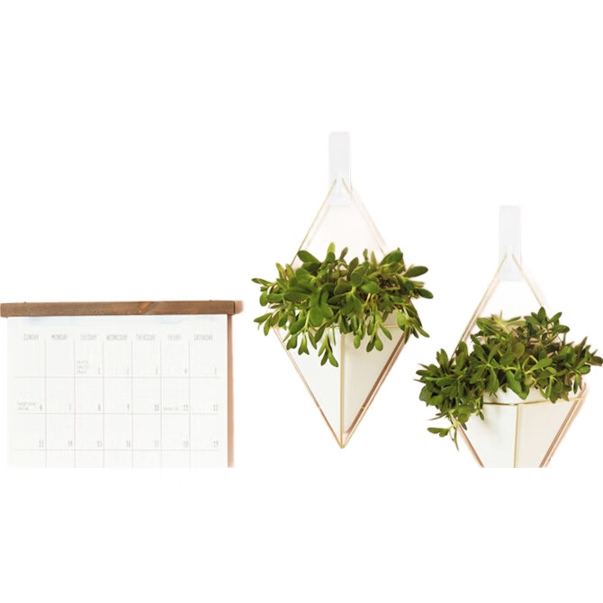 White Image 3