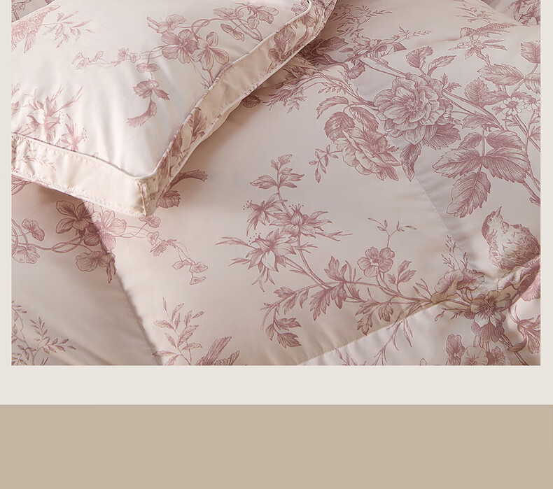 Mercury Home Textiles 95% White Goose Down Quilt Winter Thickened Double Bed Southern France Series 220×240cm 1100g 6