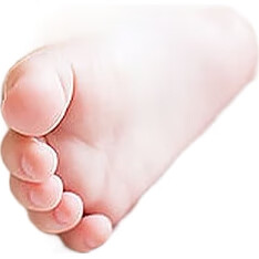 White Image 3