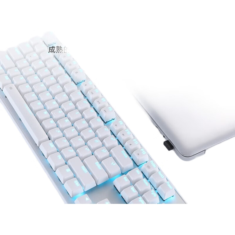 White Image 2