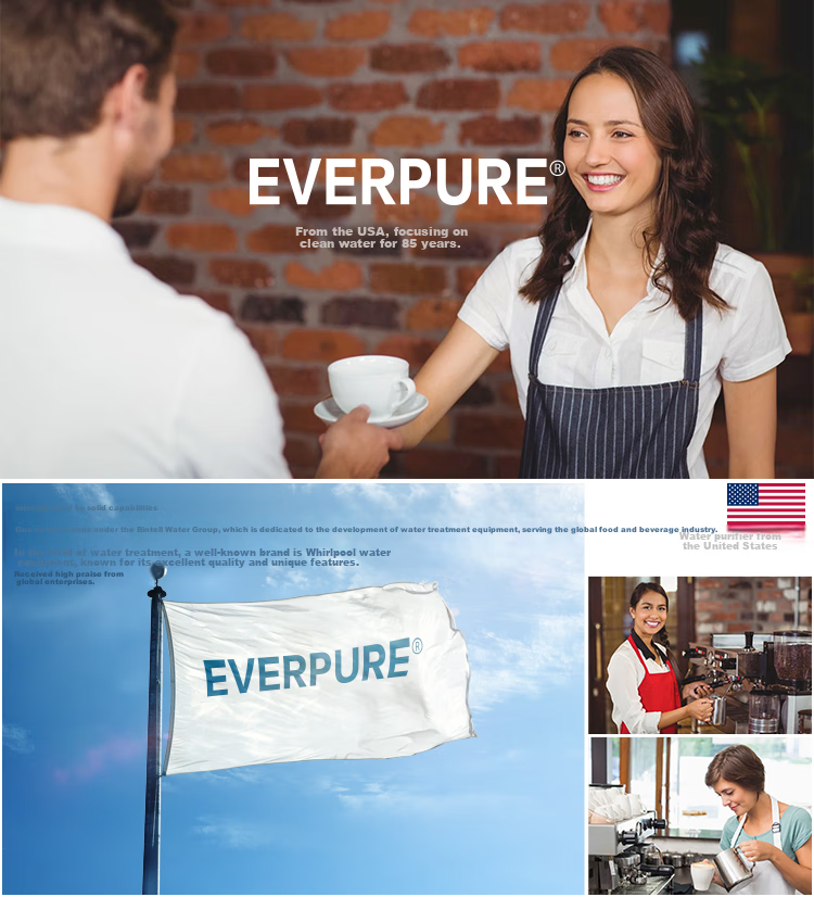 Everpure Coffee Shop/bubble Tea Shop/chinese Restaurant, 3.3 Liters/minute, 3300L Water Production Capacity, High-End Commercial Water Purifier, HIGH FLOW CSR TWIN-MC2 14