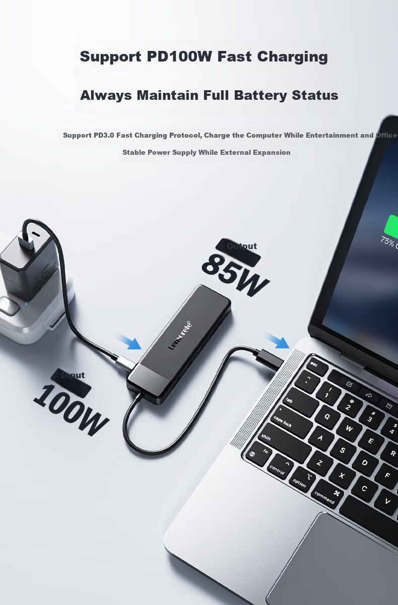 Lemorele Type-C Expansion Dock, 10-In Dual HDMI, 4K Multi-Screen Display, VGA, USB*3, SD/TF, AUX Compatible, Thunderbolt 3/4, Apple And Huawei Computer Expansion Dock, Universal TC94 3