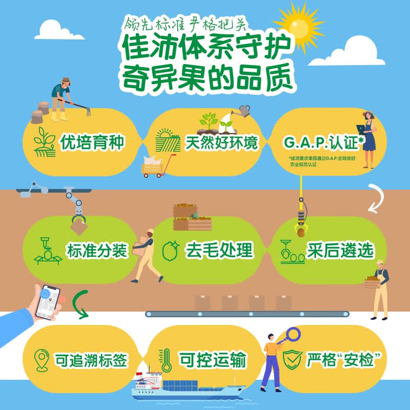 佳沛（zespri）新西兰阳光金果10个装单果重约103-114g 水果礼盒 猕猴桃水果礼盒