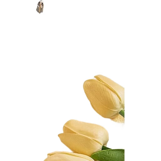 White Image 2