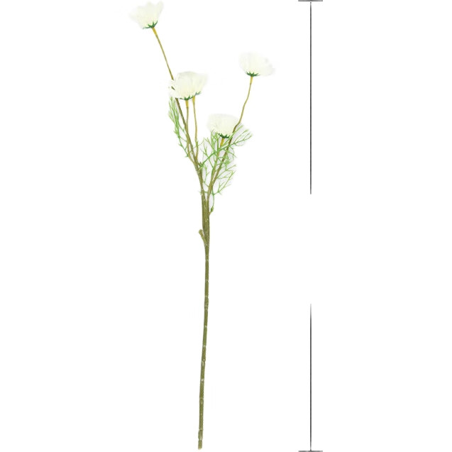 White Image 2
