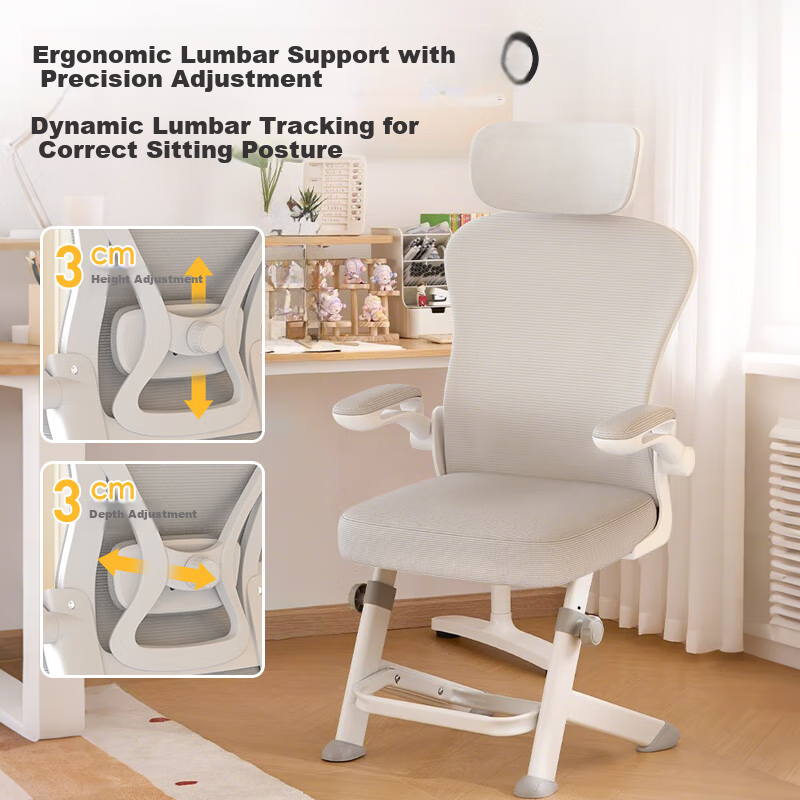 Quanpinwu Computer Chair, Study Chair, Office Chair, Ergonomic Chair, Student Chair, Lumbar Support Chair, Swivel Chair, Gaming Chair, Height Adjustable