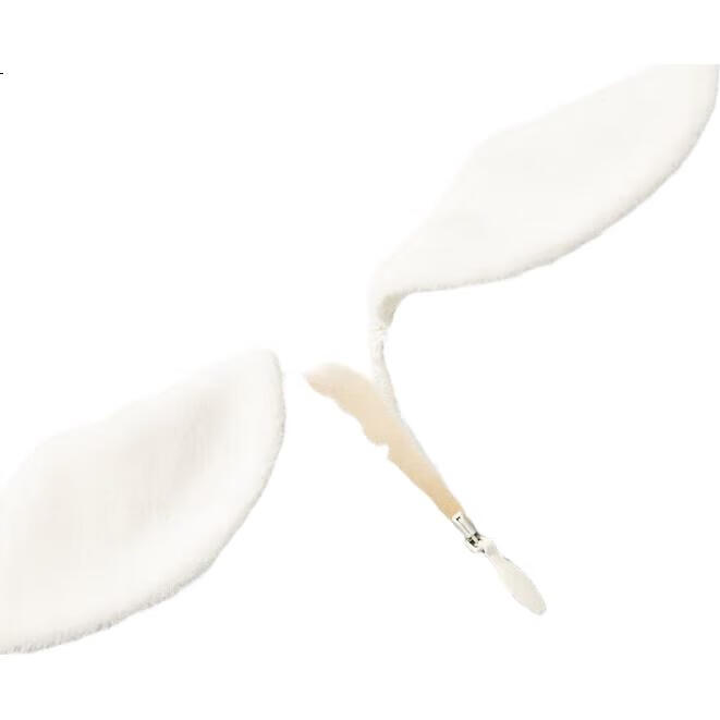 White Image 1