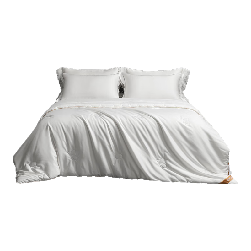 BEYOND Home Textiles 100% Mulberry Silk Duvet, Class A Antibacterial, 100S Long-Staple Cotton Silk Spring And Autumn Comforter, 220*240cm