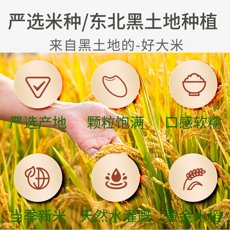 七河源圆粒粳米50斤 珍珠米大米25kg 餐饮团购 2025新米 年货节春节送礼