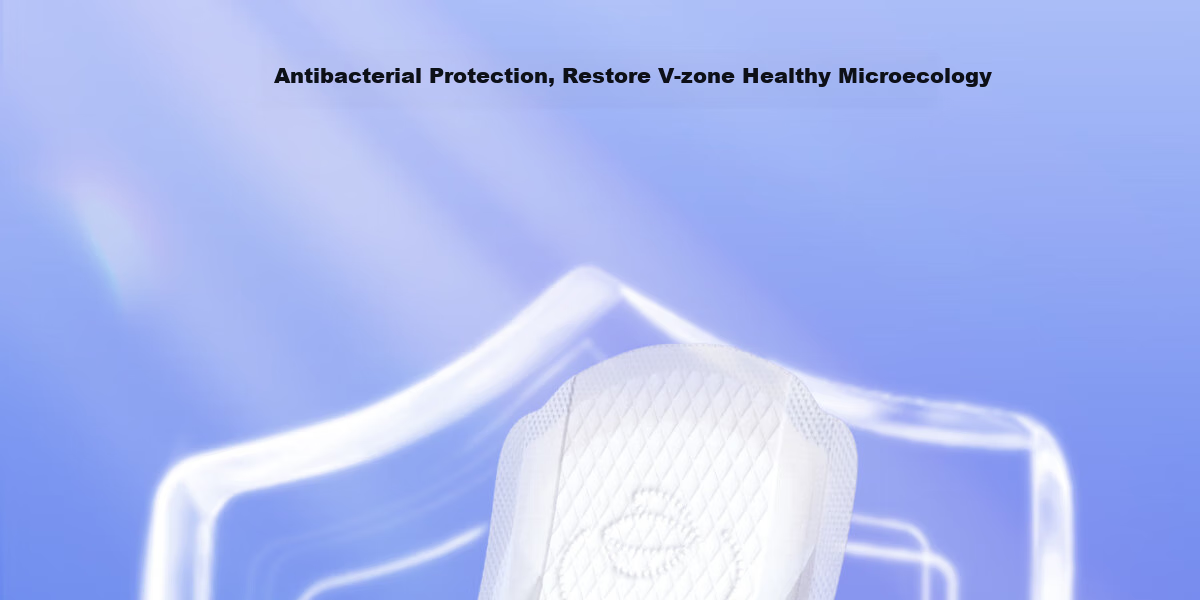 Ankexin Sanitary Pads with Probiotics And Antibacterial 99.9%, for Women's Menstrual Use, Daytime Use, Maternity Care Grade, 245mm, 100 Pieces 12