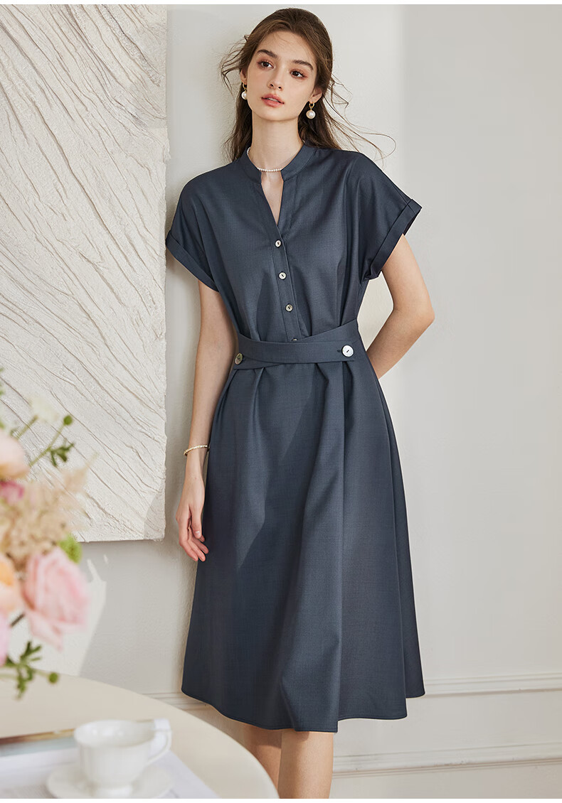 ROEYSHOUSE Women's Premium Flared Dress Summer Elegant Commuter Slim Casual Dress 10222 Dark Blue L 10