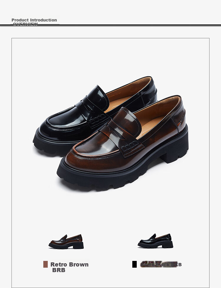 Le Saunda Family Spring And Summer New British Retro Chunky Heel Loafers for Women 45301, Vintage Brown BRB, Size 36 2