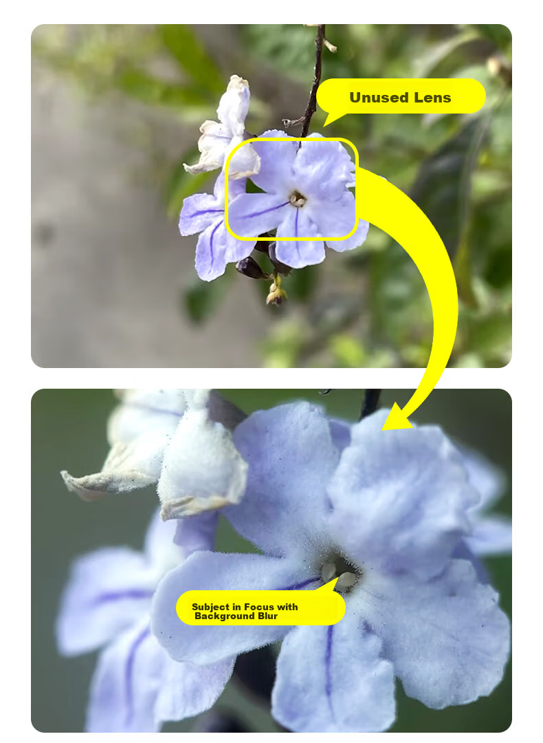 Kase Master-Level 100mm Lens Plus Dedicated Polarizing Filter for Smartphone Macro Lenses, High-Definition Shooting of Flowers And Plants, Fine Details, Micro Background Bokeh, Focusing on Subject Photography Accessories 5