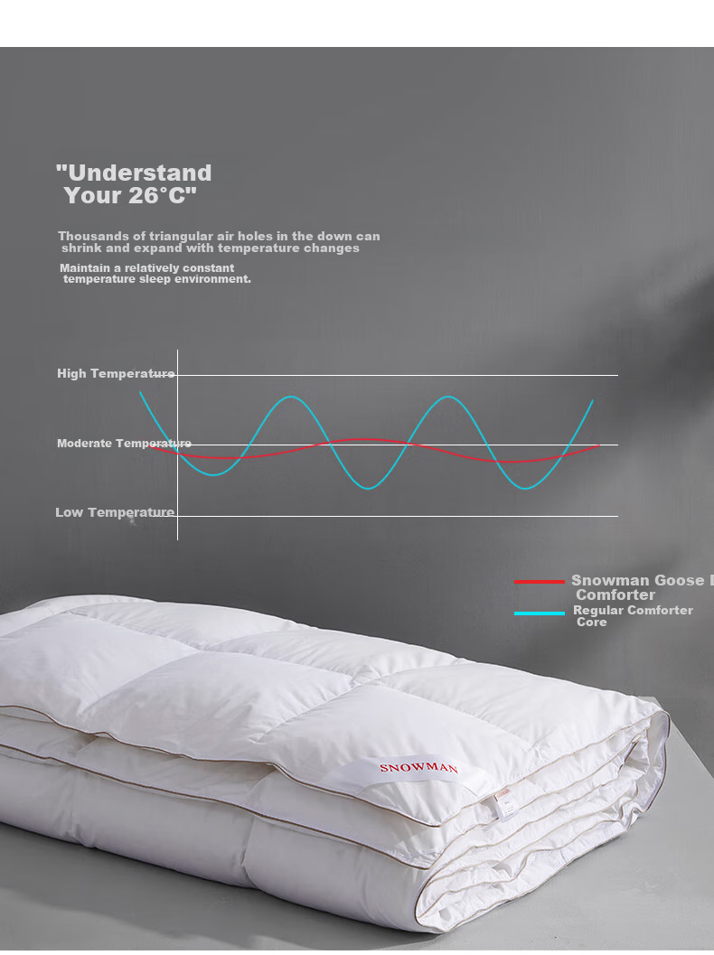 Sinuoman High-Quality 100% Imported 95% White Goose Down Duvet Insert, Comforter for Air Conditioning And Heating, 2.2*2.4m, 320g Filling, Gray 11