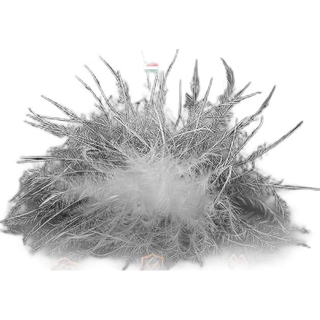 White Image 2