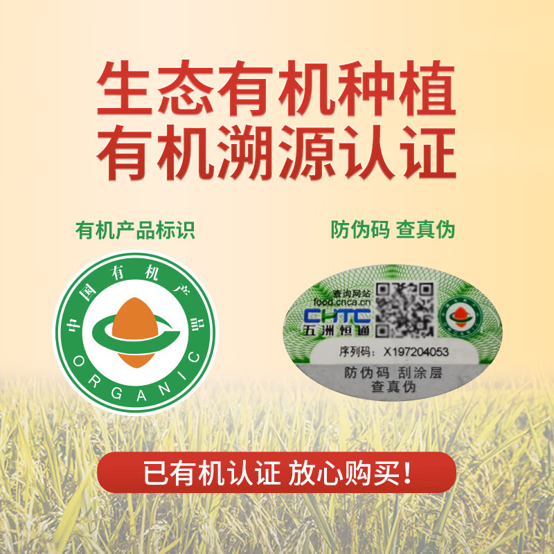 太粮 马坝龙有机油粘米10斤 籼米大米5kg 南方长粒米 当季新米