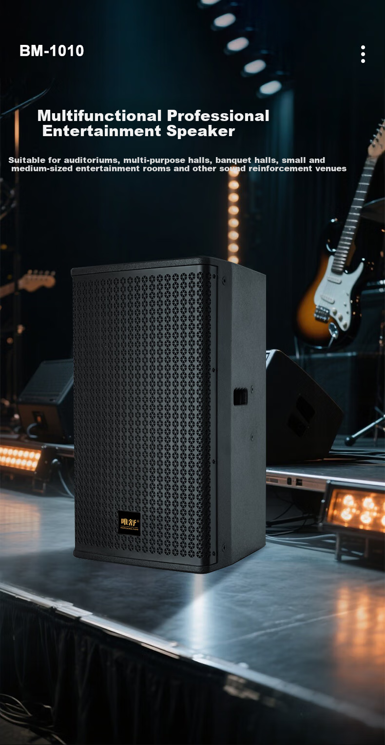 Weishu BM-1010 Conference Audio And Video Full-Frequency Professional Speaker, Single 10-Inch Multifunctional Performance-Level Indoor And Outdoor KTV Project Wall-Mounted And Floor-Standing Theater Passive Speaker 200W 1