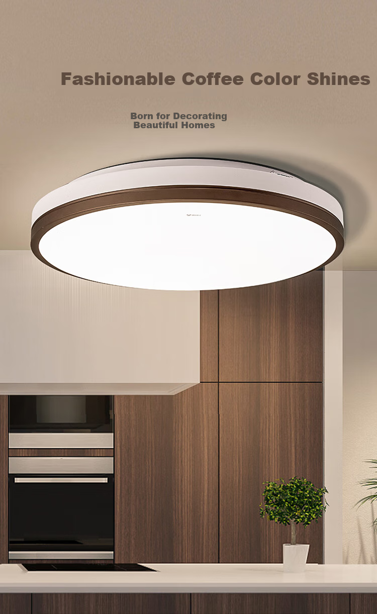 BULL Ceiling Light, Langchen Full Spectrum Bedroom Light, MX-C048A Stepless Dimming, 48W, Ra97 Color Rendering Index, with Display Indicator, Installation Included 2