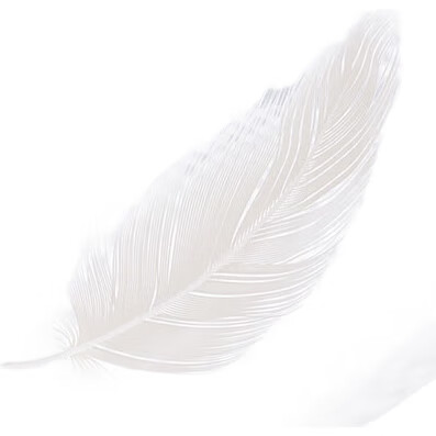 White Image 3