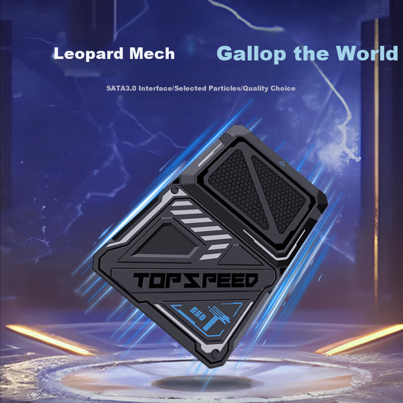 TANLR 128GB SSD Solid State Drive, SATA 3.0 Interface, High-Speed TLC Particles, Read Speed 540MB/s, Desktop And Laptop Storage Accessory, Leopaard T560 Series