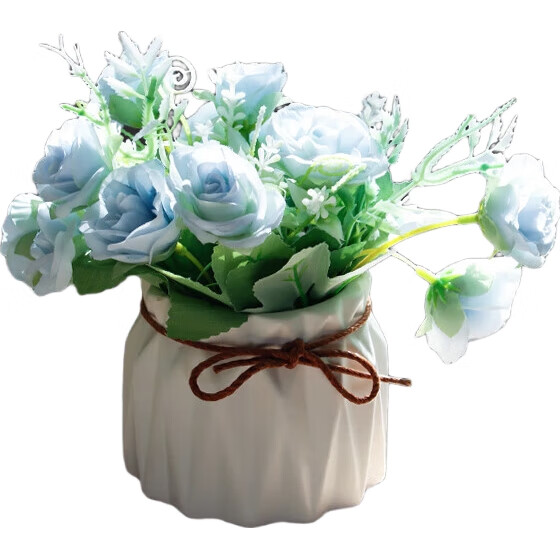 White Image 1