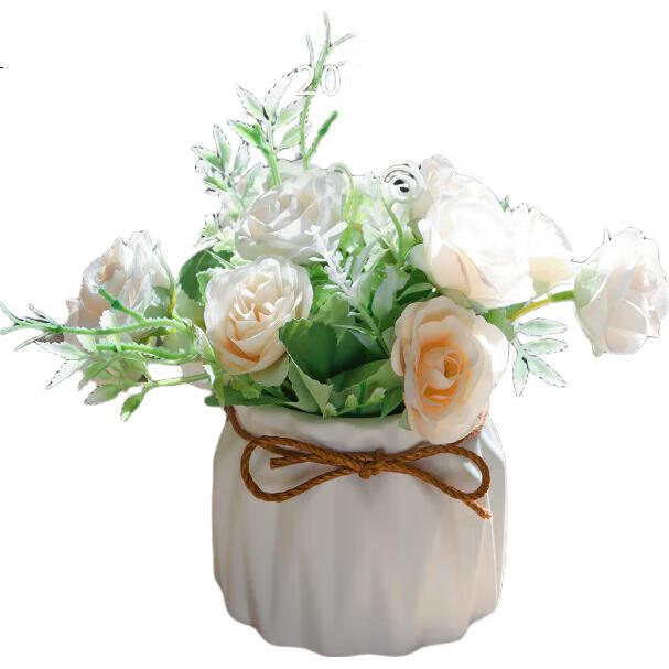 White Image 1