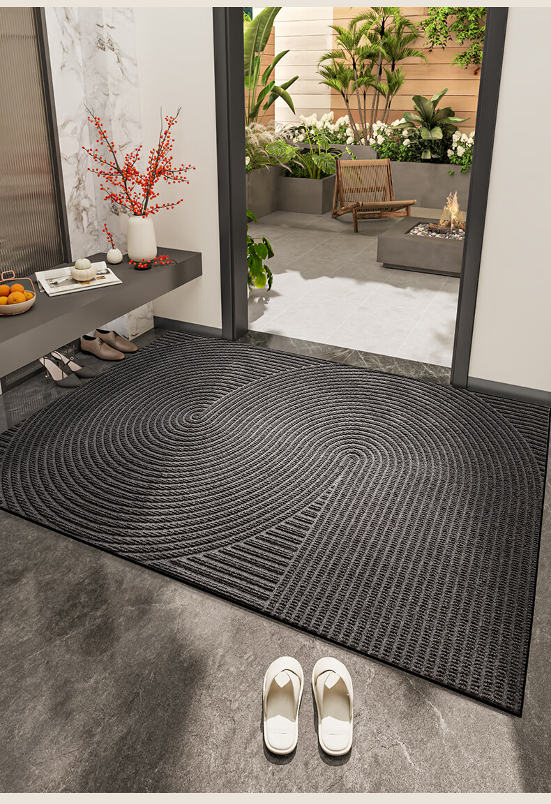 DeXi Entrance Mat, Doorway Mat, Foot Mat, 2025 New Style Doormat, Foyer Carpet, Entrance Floor Mat, 45x75cm 1